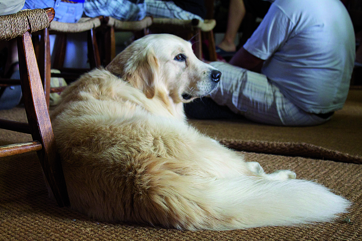 tobi